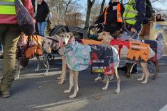 1_9.-Koelner-Galgo-Marsch-27-Januar-2024-18